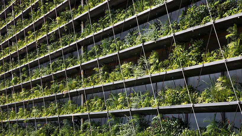 G8A 建筑事务所和 rollimarchini architekten 为越南雅各布工厂增添绿色立面 G8A 建筑事务所和 rollimarchini architekten 为越南雅各布工厂增添绿色立面