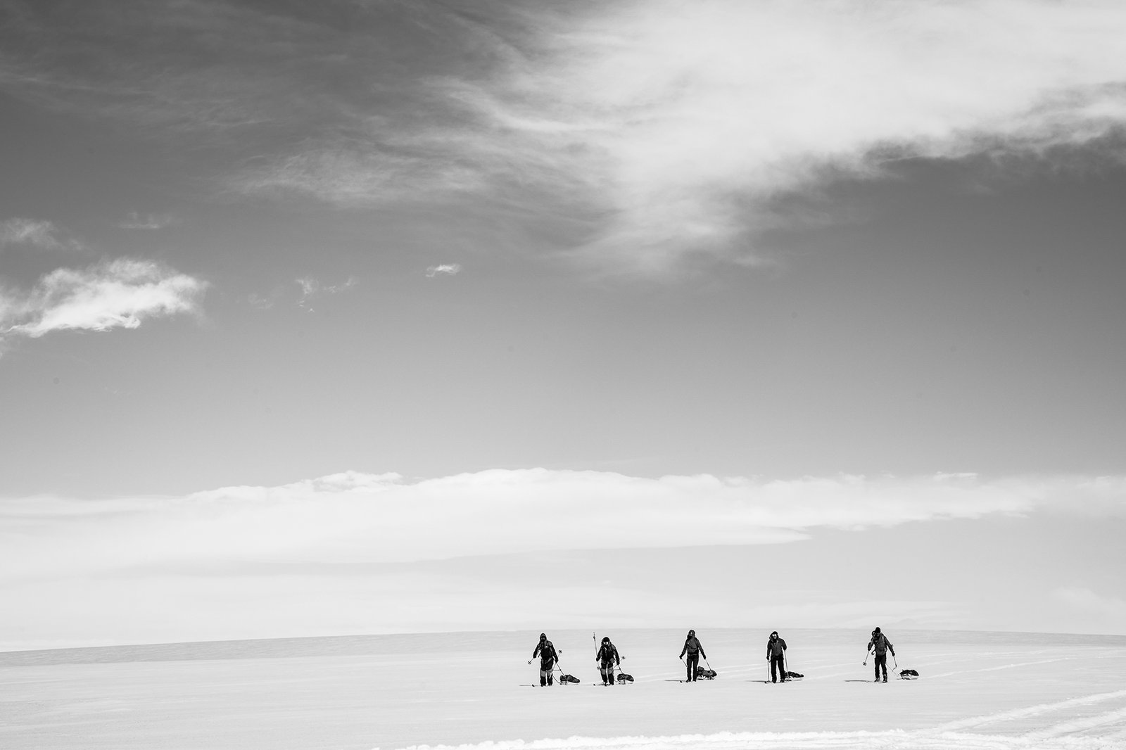 橘子品牌中心“橘子南极探险”展览