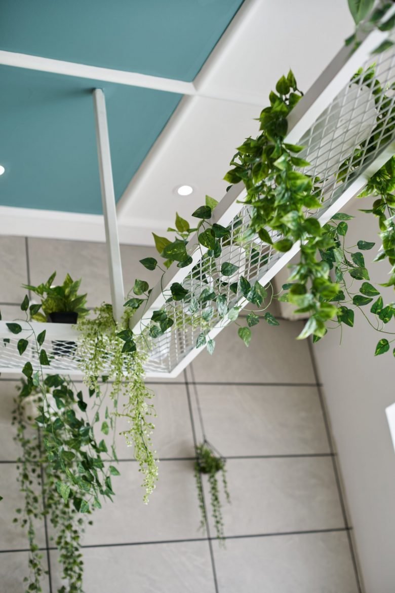 伽雅冰淇淋 x Karbowl