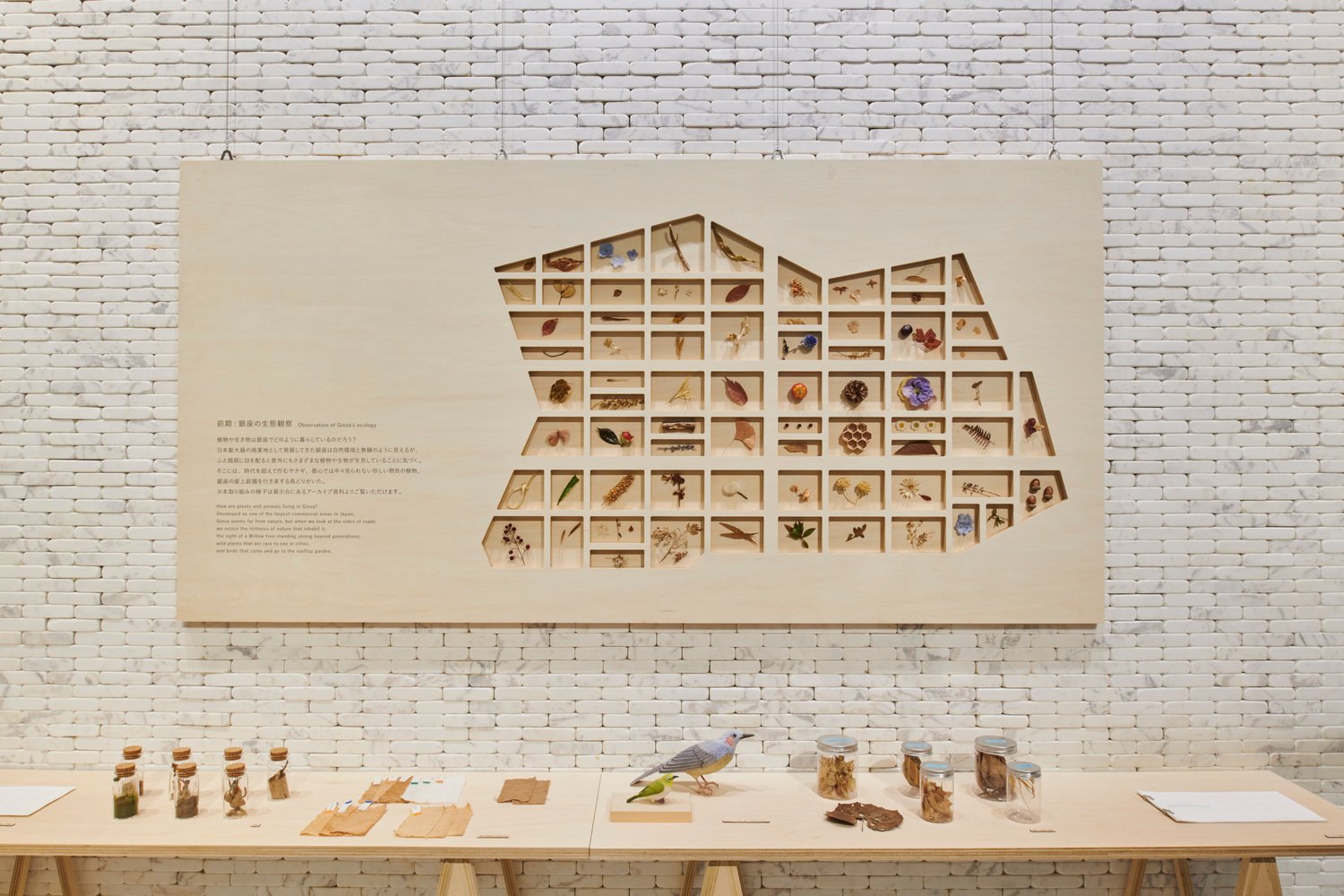 Hakuten Corporation 的银座生态地图