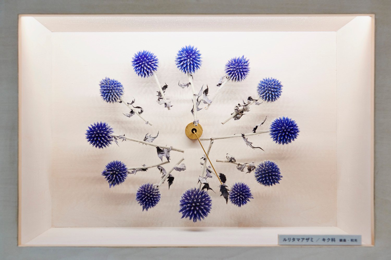 Hakuten Corporation 的银座生态地图