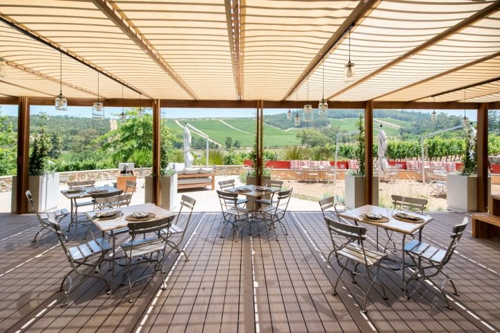 Glenelly 餐厅、品酒室和玻璃博物馆由 Inhouse Brand Architects 设计，南非斯泰伦博斯