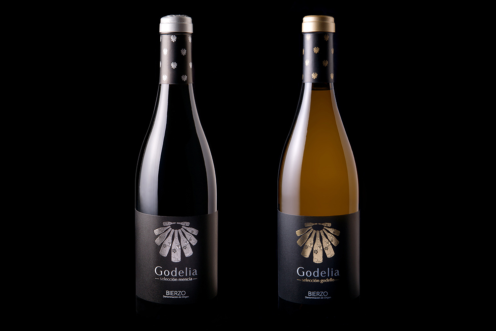 胡安玛·萨尔维 (Juanma Salvi) 的 Godelia 选择