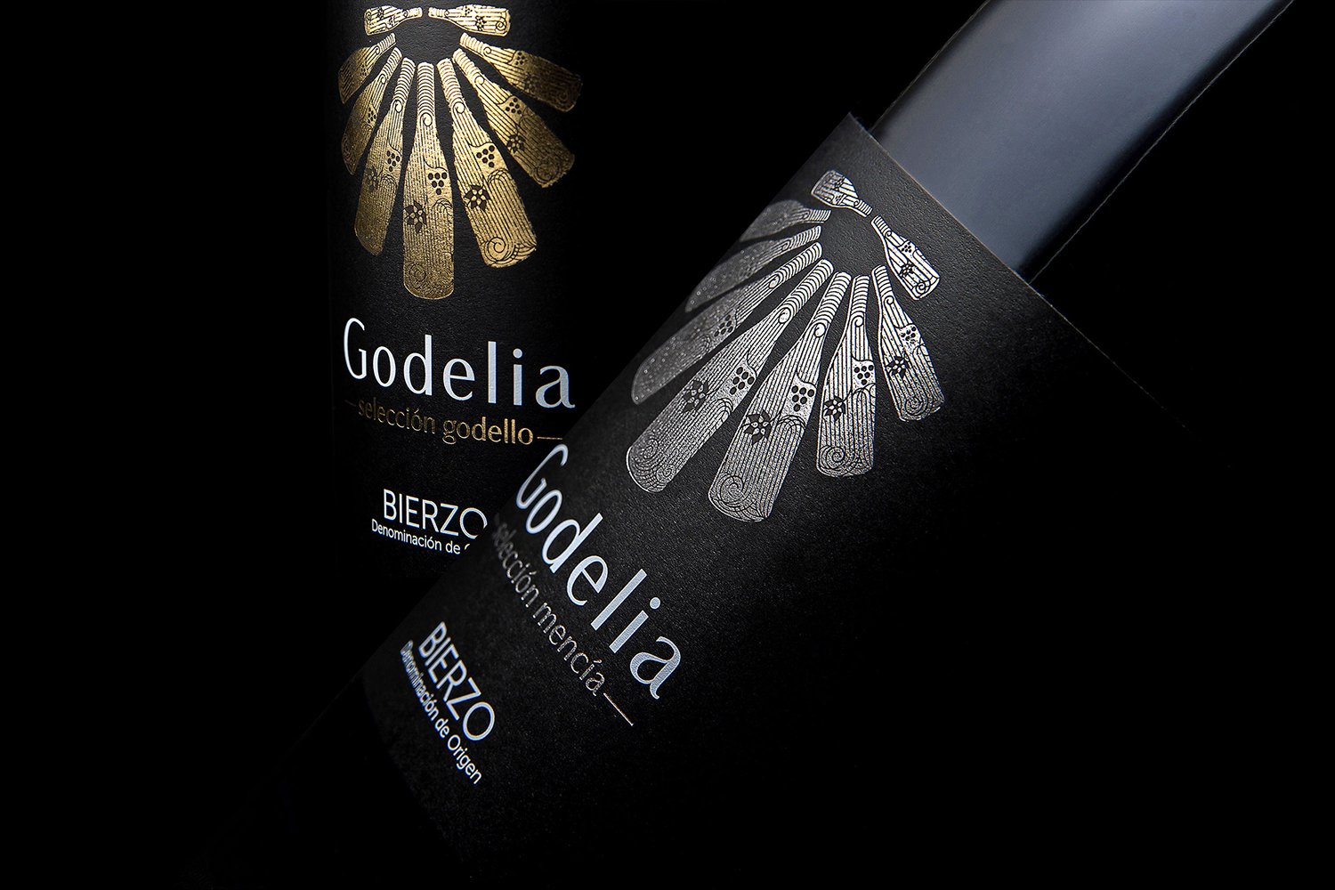 胡安玛·萨尔维 (Juanma Salvi) 的 Godelia 选择