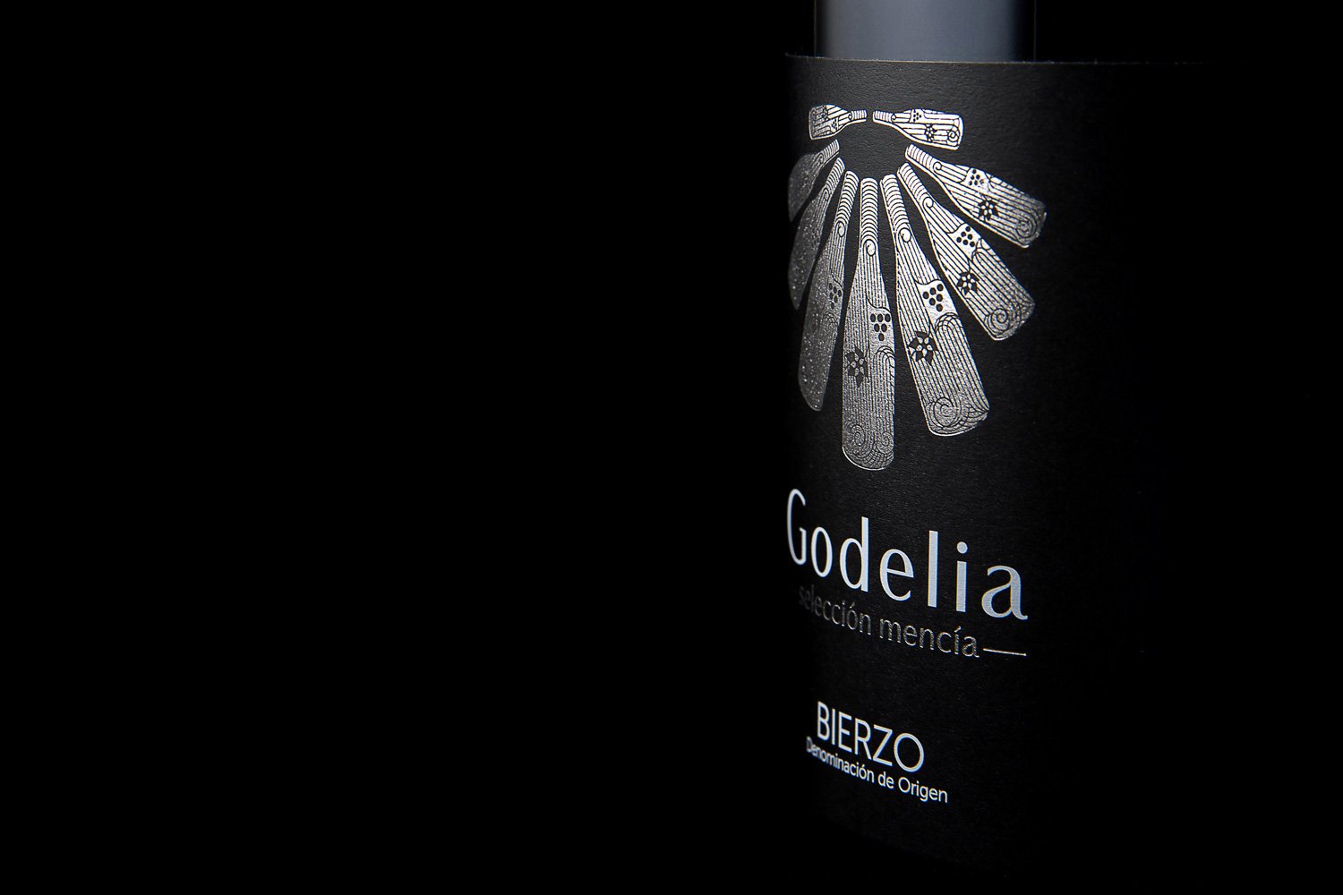 胡安玛·萨尔维 (Juanma Salvi) 的 Godelia 选择