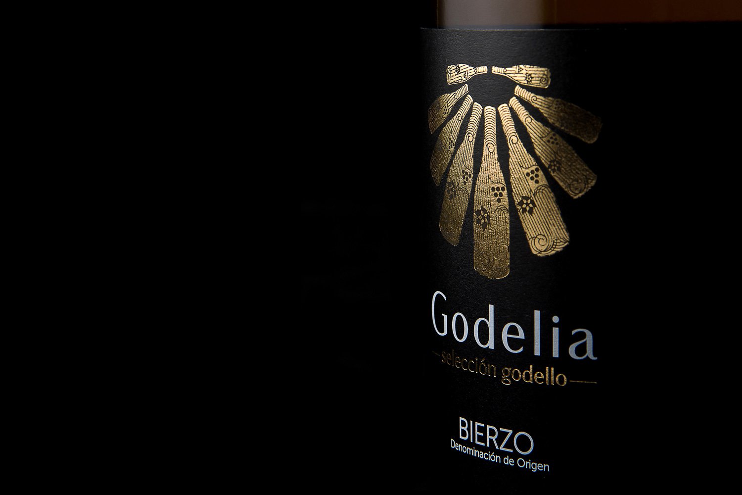 胡安玛·萨尔维 (Juanma Salvi) 的 Godelia 选择