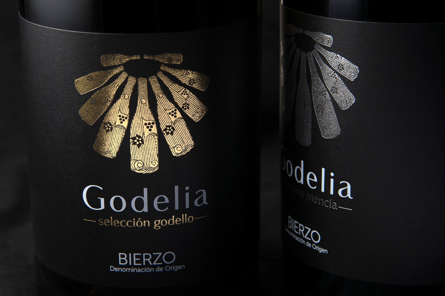 胡安玛·萨尔维 (Juanma Salvi) 的 Godelia 选择