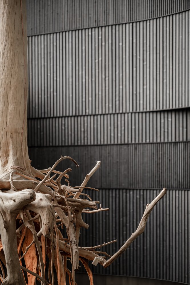 YOD 集团艾米丽大酒店大堂