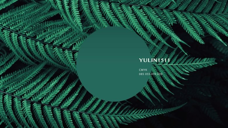 Hainan Wuzhi Mountain by Gu Ge