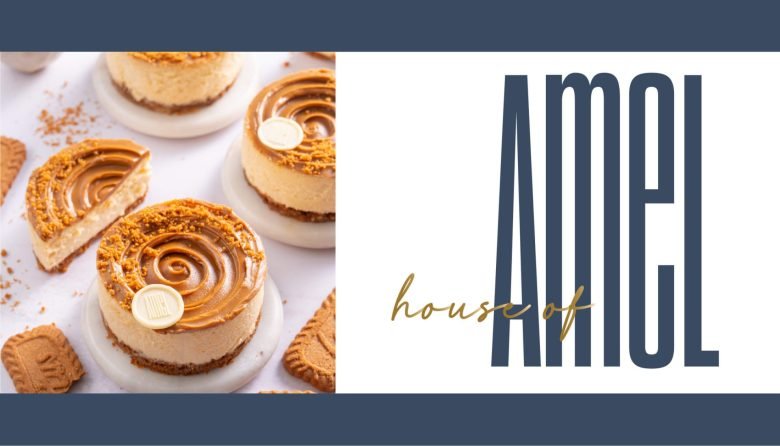 阿梅尔之家的策略