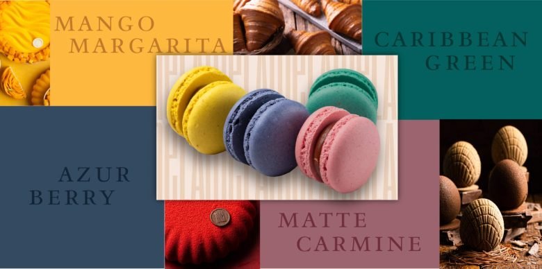 阿梅尔之家的策略