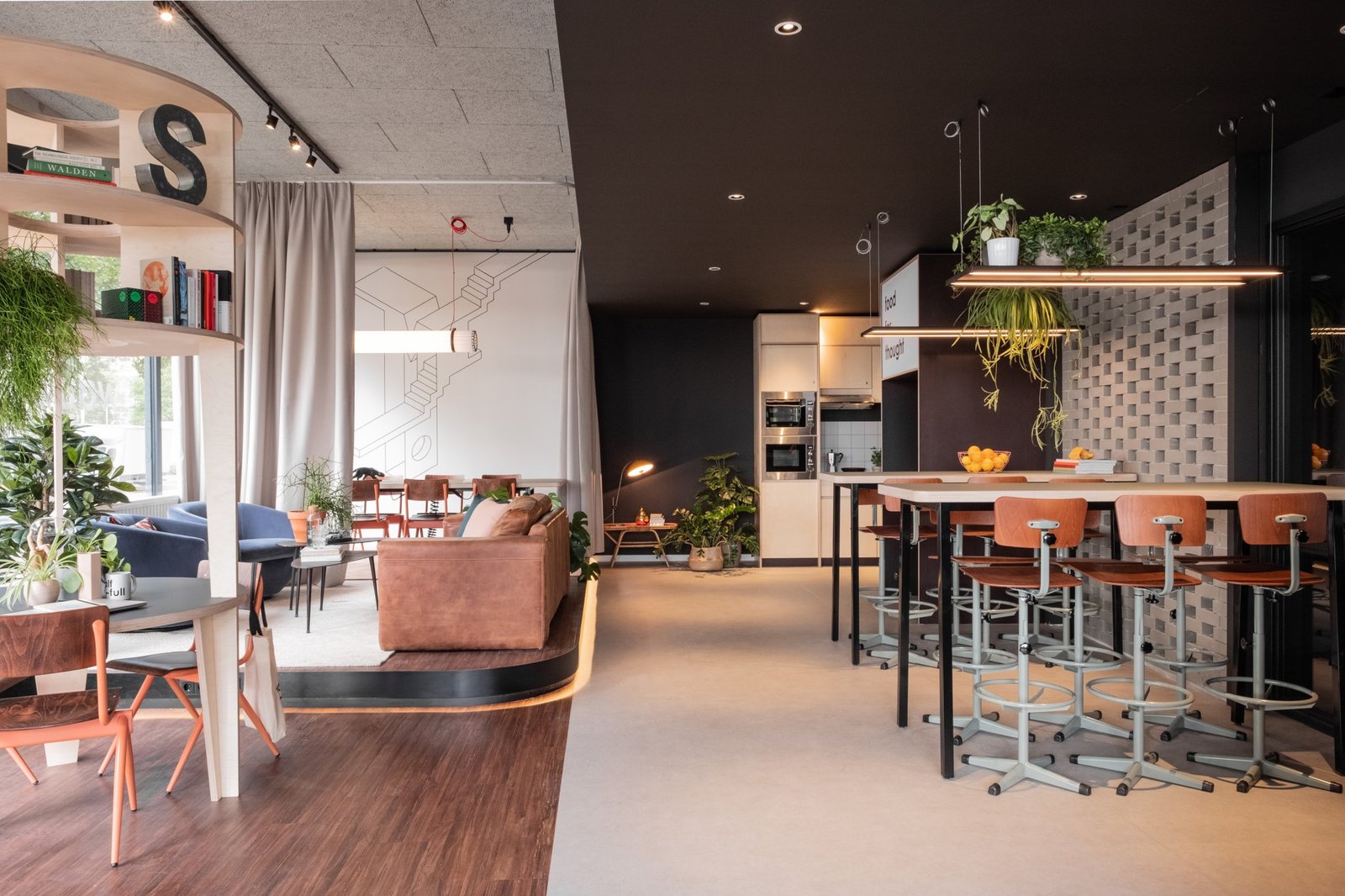 如何通过共享居住社区解决孤独感