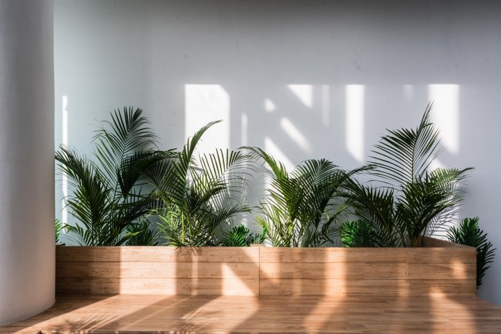 IIFL 办公室，Zyeta Studios 财富与资产管理，印度浦那