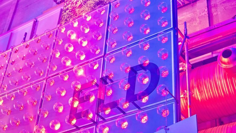 Midori Hasuike 和 Emerzon 的宜家展览