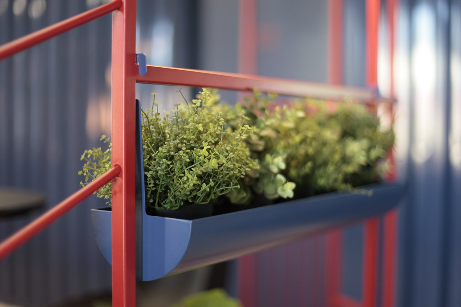 关键走!RENT:色彩的振动和形式的速度 关键走!RENT:色彩的振动和形式的速度