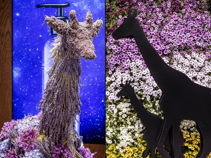  英国伦敦 Prop Studios 的 Kiehl's 花卉装置