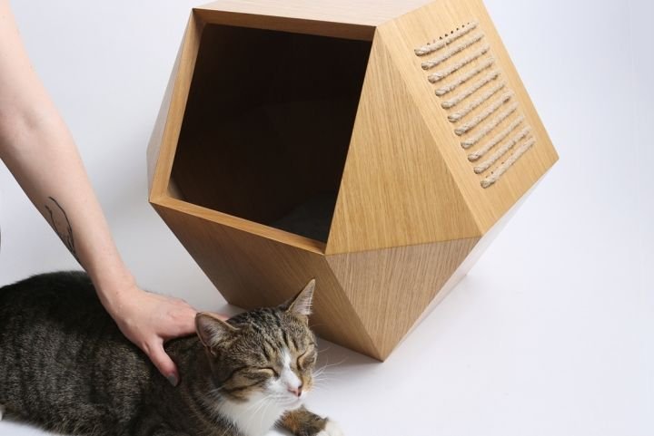 Ekaterina Vagurina 的 Kotohouse