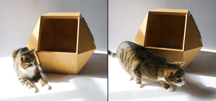 Ekaterina Vagurina 的 Kotohouse