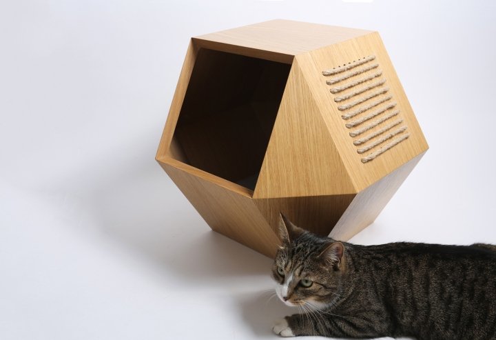 Ekaterina Vagurina 的 Kotohouse