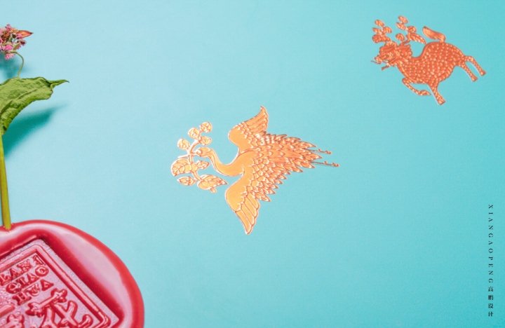 LANQIAOHUA packaging by Xiangaopeng