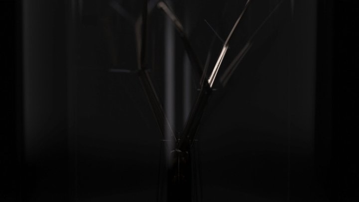 希望之光灯和包装由 Mitja Schneehage 和 Michael Wilde 设计