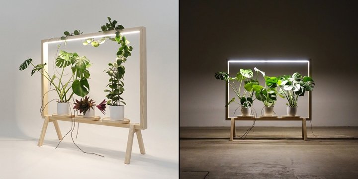 瑞典 Kauppi & Kauppi 和 Glimakra 的“Limbus Greenframe”项目