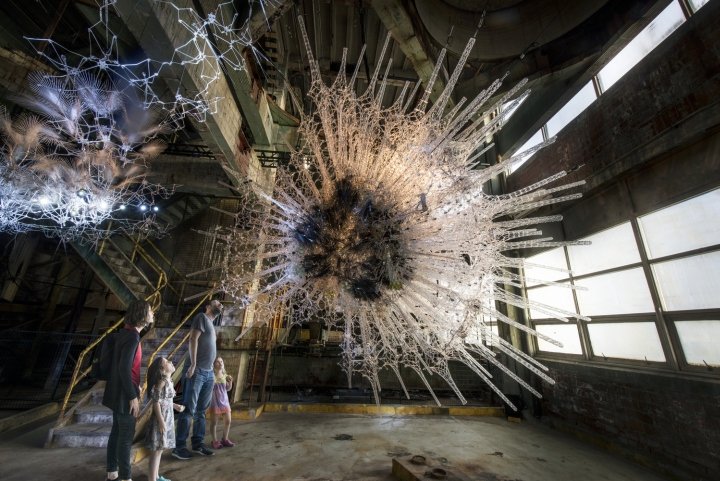 生命建筑“星形胶质细胞”质疑建筑物是否可以思考和关怀