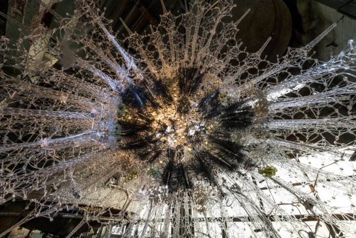 生命建筑“星形胶质细胞”质疑建筑物是否可以思考和关怀