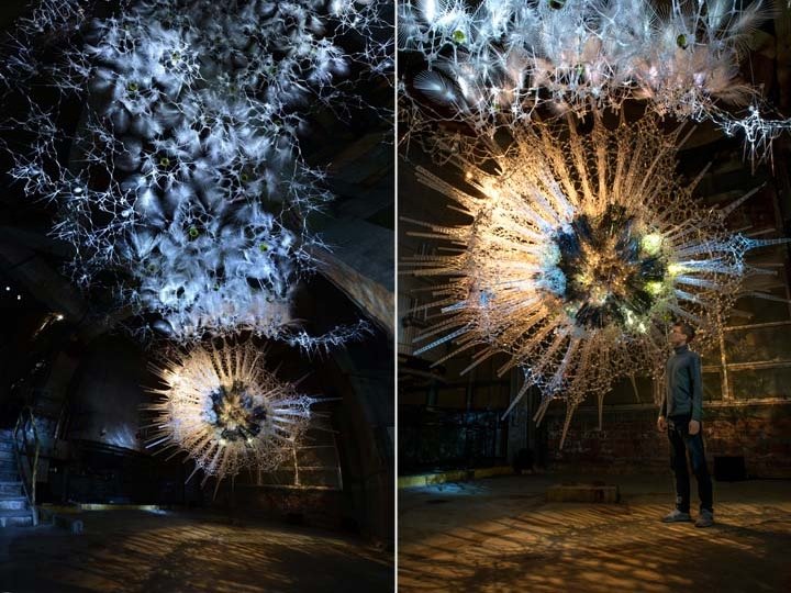 生命建筑“星形胶质细胞”质疑建筑物是否可以思考和关怀