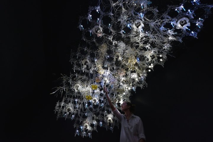 生命建筑“星形胶质细胞”质疑建筑物是否可以思考和关怀