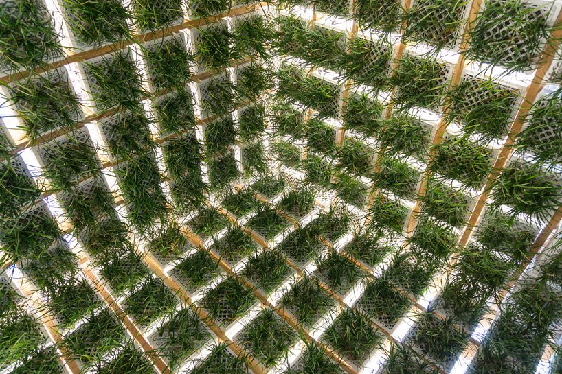 Behin Ha 设计的生活馆