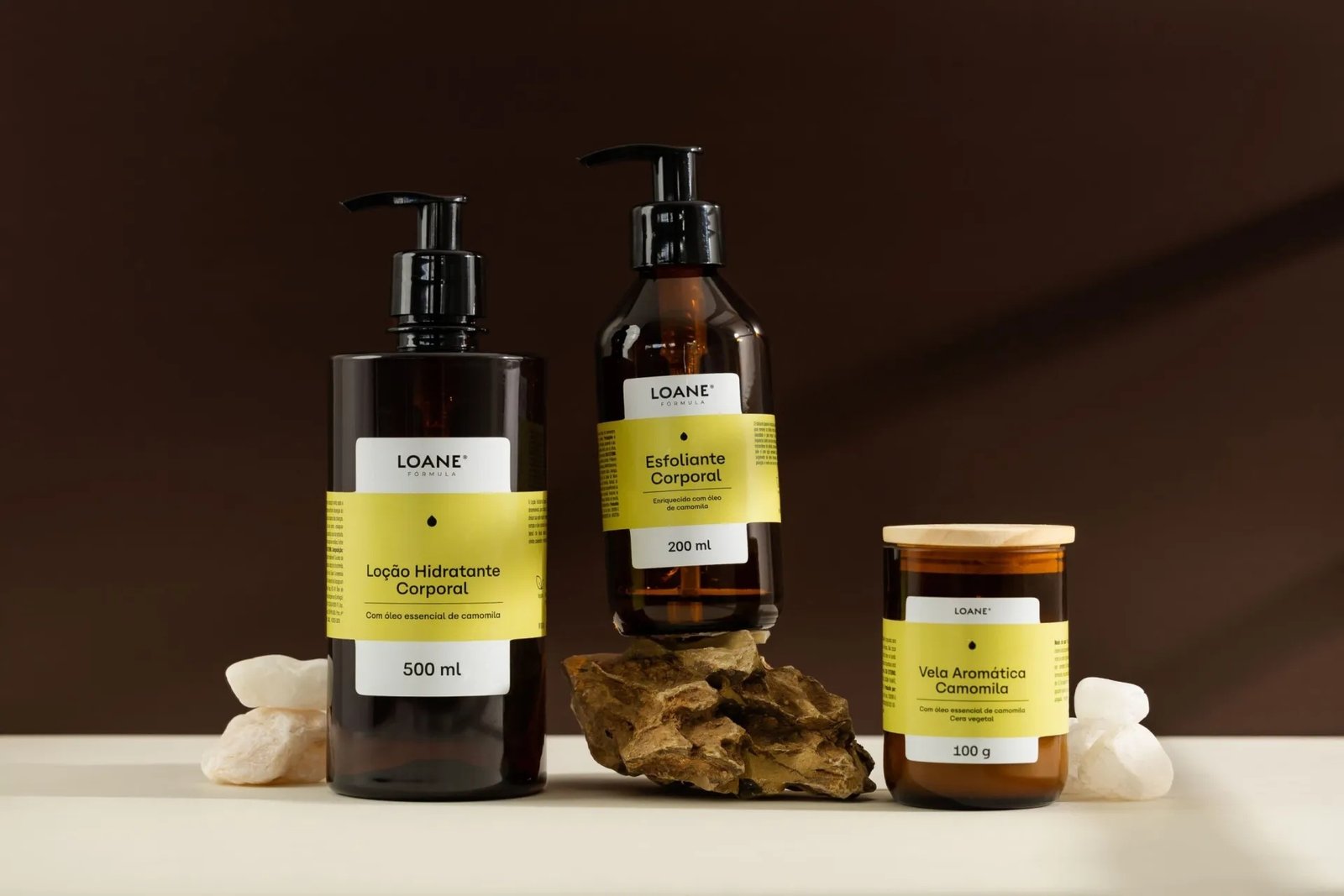 莱昂纳多·泽维尔的《贷款》