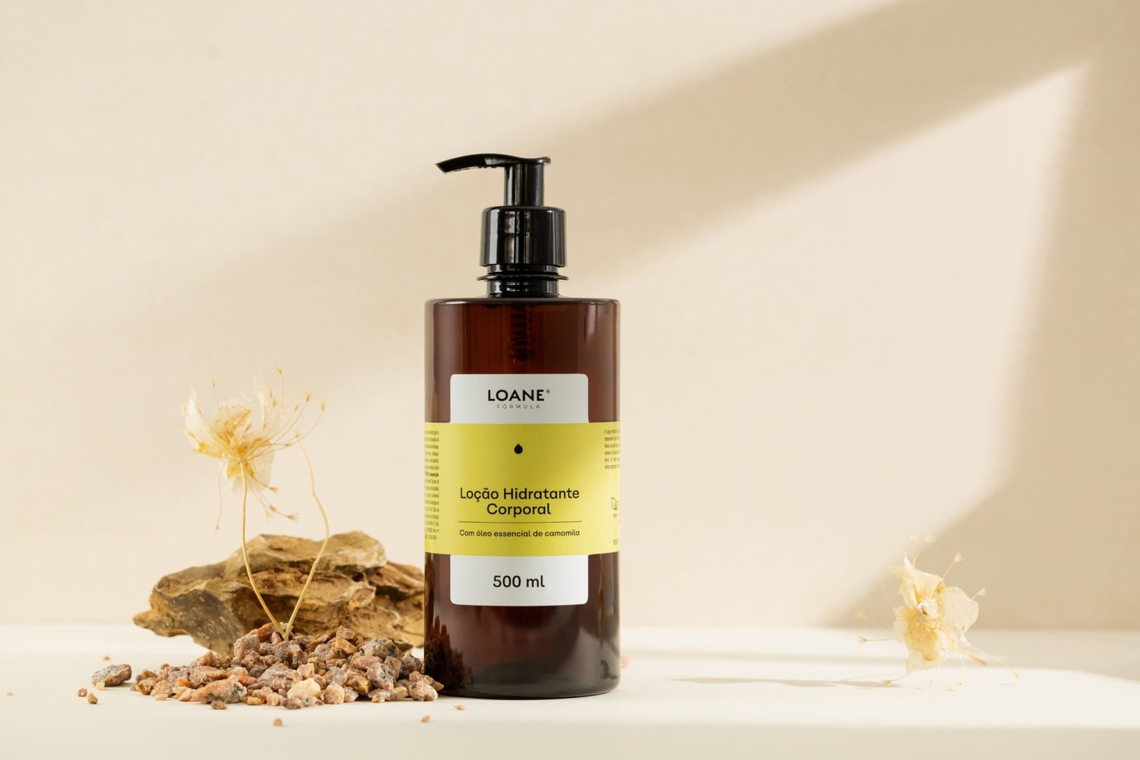 莱昂纳多·泽维尔的《贷款》