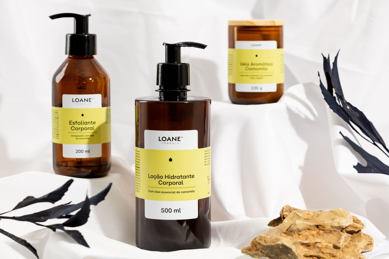 莱昂纳多·泽维尔的《贷款》