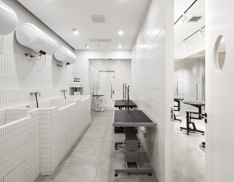 贵族宠物商店 贵族宠物商店