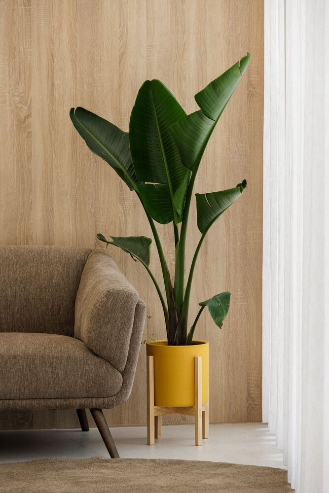 MOOD 牙科医学 / Tsou Arquitectos