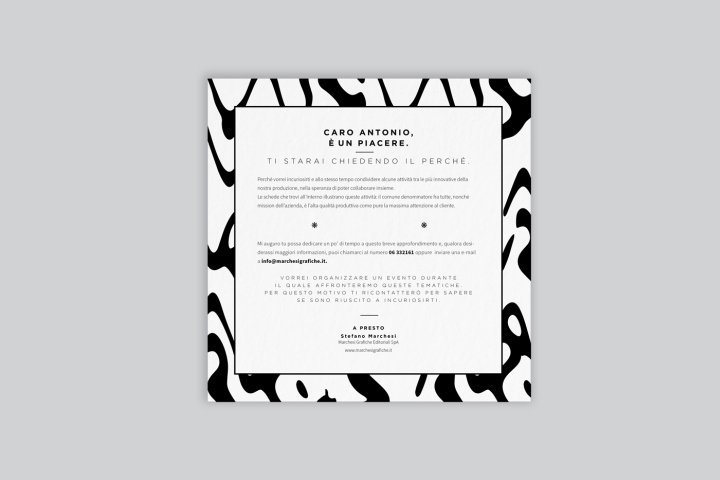 Marchesi’s Pack – David Bonanni 的公司活动