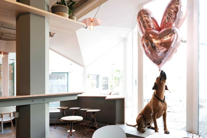 玛丽咖啡俱乐部，由 ALPHA RKD & LOVA 设计，德国慕尼黑