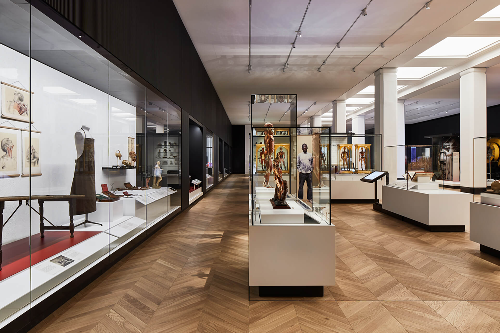 WilkinsonEyre 的医学画廊展览