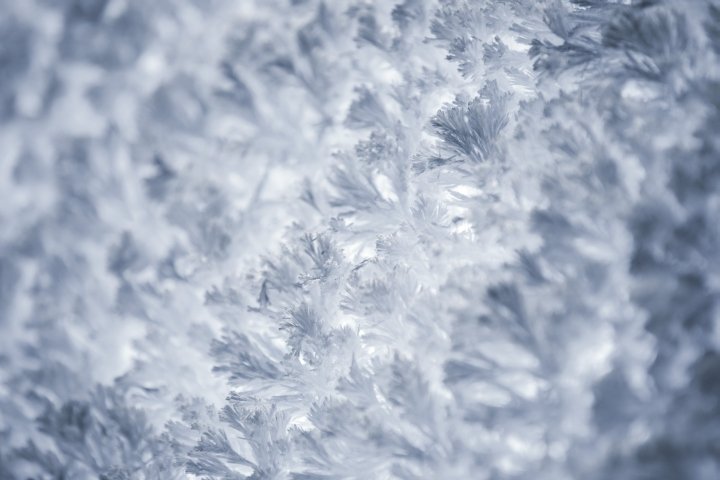 日本东京 MIKIMOTO 银座总店的水晶圣诞树，由 we+ 设计