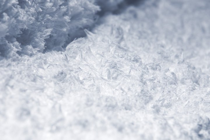 日本东京 MIKIMOTO 银座总店的水晶圣诞树，由 we+ 设计