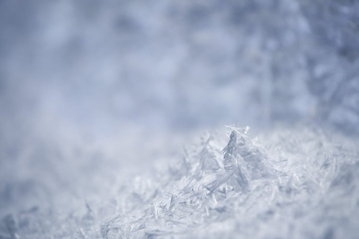 日本东京 MIKIMOTO 银座总店的水晶圣诞树，由 we+ 设计