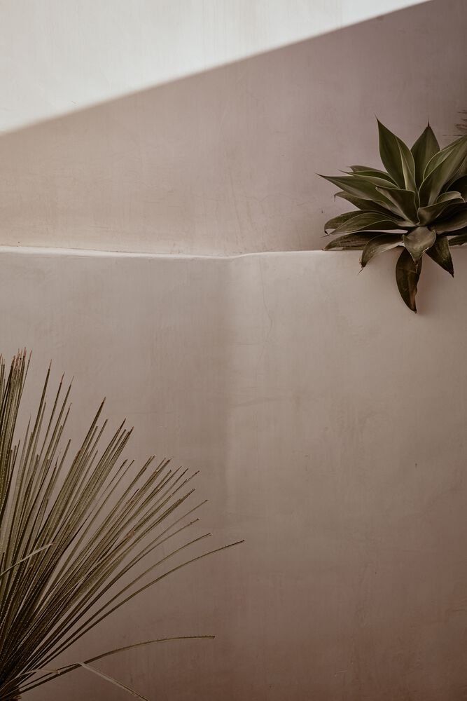 NOEMA 酒吧和餐厅，由 K-Studio + Lambs and Lions 设计