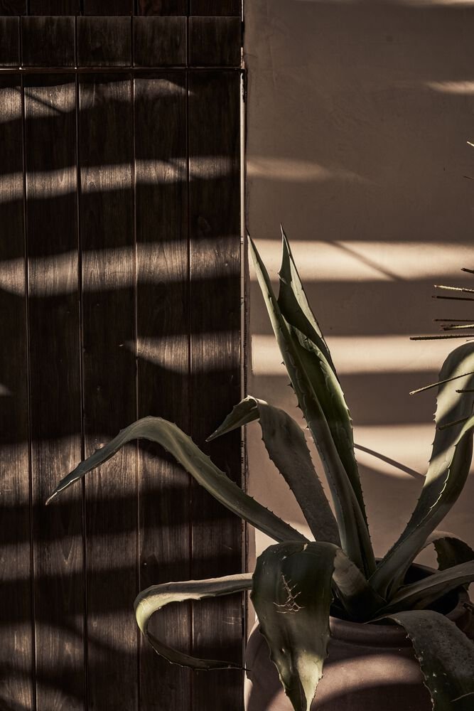 NOEMA 酒吧和餐厅，由 K-Studio + Lambs and Lions 设计