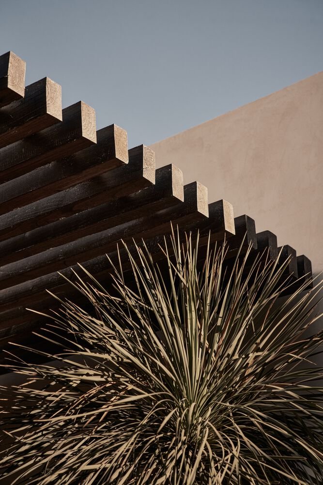 NOEMA 酒吧和餐厅，由 K-Studio + Lambs and Lions 设计