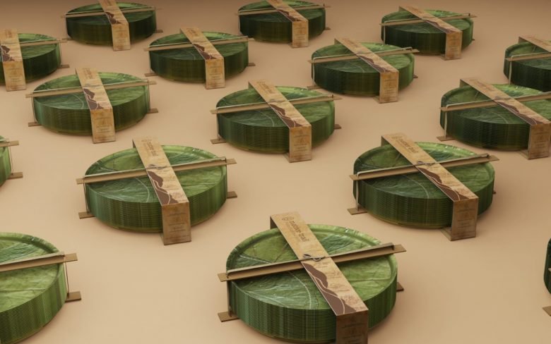 Ria Shah 的原生小径