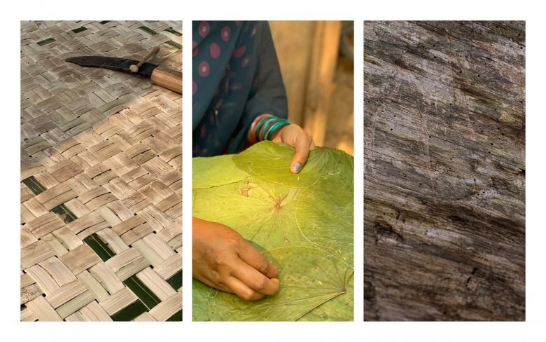 Ria Shah 的原生小径