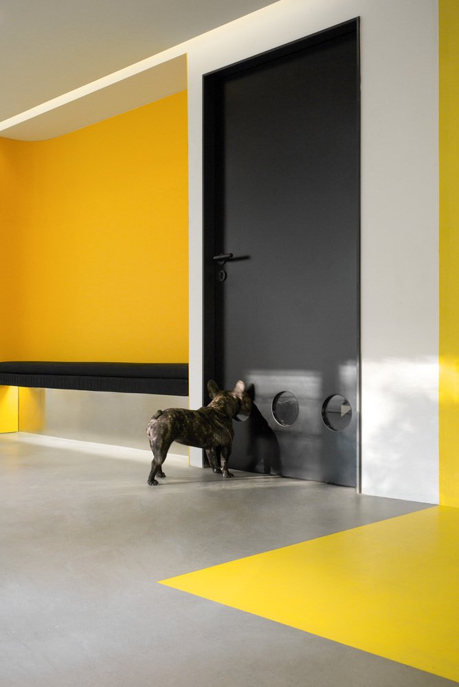 诺瓦宠物店 by say Architects