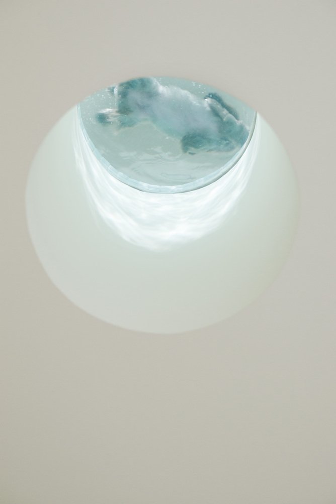 诺瓦宠物店 by say Architects