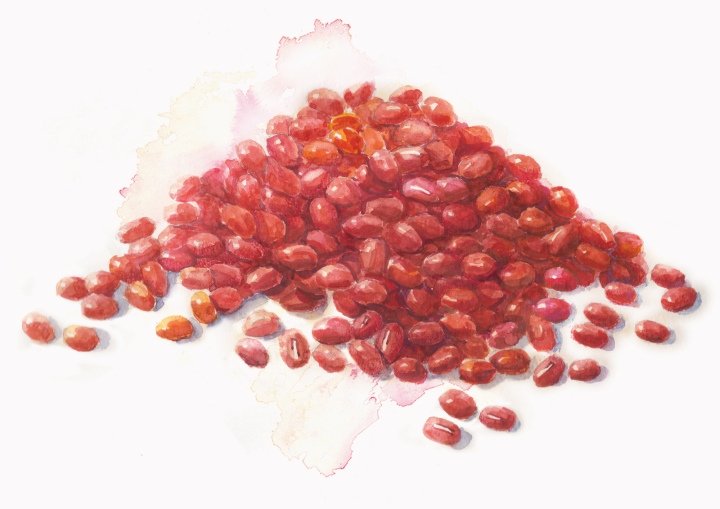 O-ganic Crop by Box Brand Design，香港